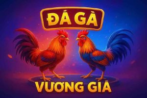Đá Gà Vương Giả JUM88 - Trải Nghiệm Cá Cược Hấp Dẫn